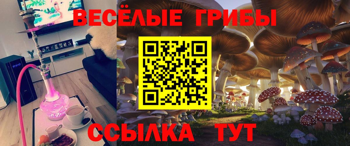Фрязино  Псилоцибиновые грибы мицелий  Вход с VPN 